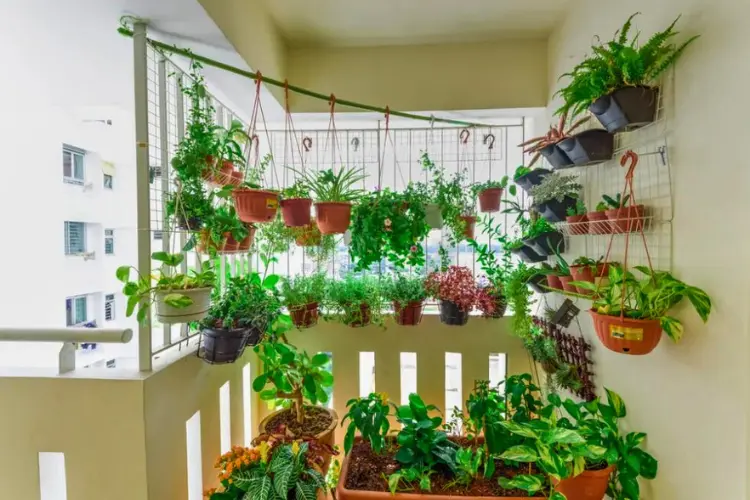 Beginner's Guide to Gardening in a Small Apartment